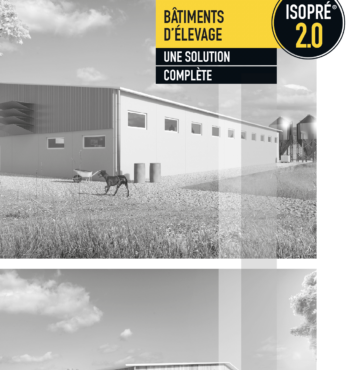 Dalle béton de bois